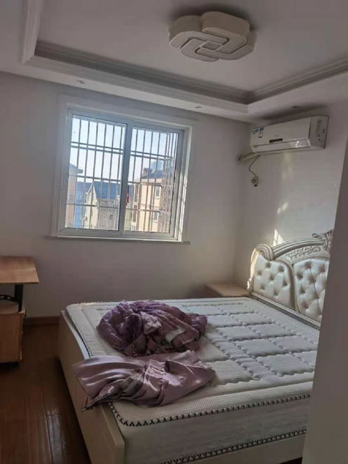 上海蘇家浜小區 精品單身公寓，拎包入住的無憂選擇